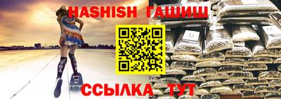дмт Кингисепп