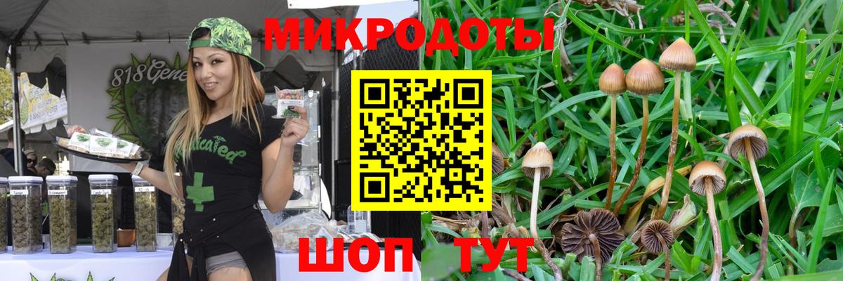 Лиски  Галлюциногенные грибы мухоморы  Вход с VPN 